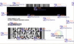 Alabama Drivers License (Front & Back) Template (V2) - PSDMarket.in