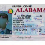 Alabama Drivers License (Front & Back) Template (V2) - PSDMarket.in