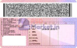 Albania Driving Licence Template - Image 2