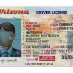 Arizona Driver License (Front & Back) Template - PSDMarket.in