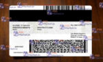Arizona Driver License (Front & Back) Template v2 - PSDMarket.in