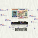 Arizona Driver License Template (scan) - PSDMarket.in