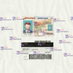 Arizona Drivers License (scan) v2 - PSDMarket.in