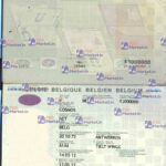 Belgium Passport Template - PSDMarket.in.psd