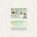 Belgium Driving Licence Template (scan)