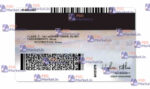 California Driver License Template(V2) - PSDMarket.in