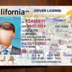 California Driver License Template(V2) - PSDMarket.in