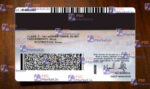 California Driver License Template(V2) - PSDMarket.in