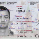 Canada ID Card Template(PRC) - PSDMarket.in