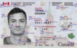 Canada ID Card Template(PRC) - PSDMarket.in