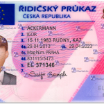 Czech Republic, Czechia DL (Front & Back) Template