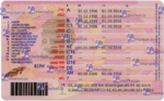 Netherlands Driving Licence (Front & Back) Template - Image 2