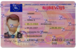 Netherlands Driving Licence (Front & Back) Template