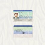 France ID Card Template (scan) - PSDMarket.in