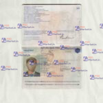 France Passport Template - PSDMarket.in