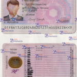 France Driving Licence Template (scan)