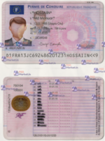 France Driving Licence Template (scan)