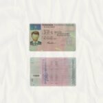 Germany Driving Licence Template (scan) - PSDMarket.in