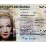 Germany ID Card (Front & Back) Template V2 - PSDMarket.in - Front