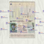 Germany Passport Template (V2) - PSDMarket.in