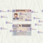 Moldova ID Card Template (scan) - PSDMarket.in