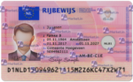 Netherlands Driving Licence Template V2
