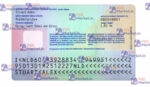 Netherlands ID Card (Front & Back) Template V2 - PSDMarket.in