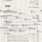 Payoneer bank Wire card bank statement Template - PSDMarket.in