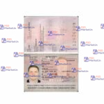Romania Passport Template - PSDMarket.in