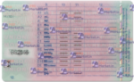 Germany Driving Licence (Front & Back) Template - Image 2