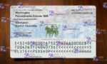 Slovenia ID Card (Front & Back) Template - PSDMarket.in - Back