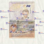Spain NEW version Passport Template - PSDMarket.in