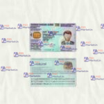 Sweden ID Card Template (scan) - PSDMarket.in