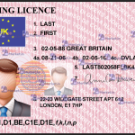 UK Driving Licence Template (without border)