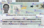 USA Green Card (Front & Back) Template - PSDMarket.in