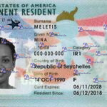 USA Green Card (Front & Back) Template - PSDMarket.in