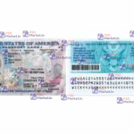 USA ID Card 2008 Template - PSDMarket.in
