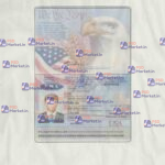 USA Passport Template (V2) - PSDMarket.in