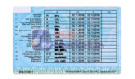 Ukraine dl front & back - PSDMarket.in - back