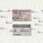Virginia Driver License Template (scan) - PSDMarket.in