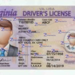 Virginia Driver License(Front & Back) Template - PSDMarket.in