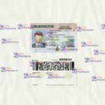 Washington Driver License Template (scan) - PSDMarket.in