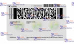 Washington Driver License(Front & Back) Template - Image 2