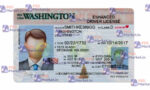 Washington Driver License(Front & Back) Template - PSDMarket.in