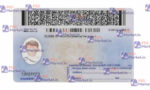 Wyoming Driver License(Front & Back) Template - PSDMarket.in