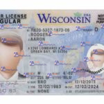 Wyoming Driver License(Front & Back) Template - PSDMarket.in