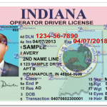 Indiana Driving Licence(v1) Template