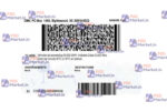 South Carolina Drivers License Template - PSDMarket.in