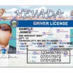 Nevada Drivers License Template V1 - PSDMarket.in