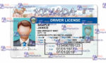 Nevada Drivers License Template V1 - PSDMarket.in